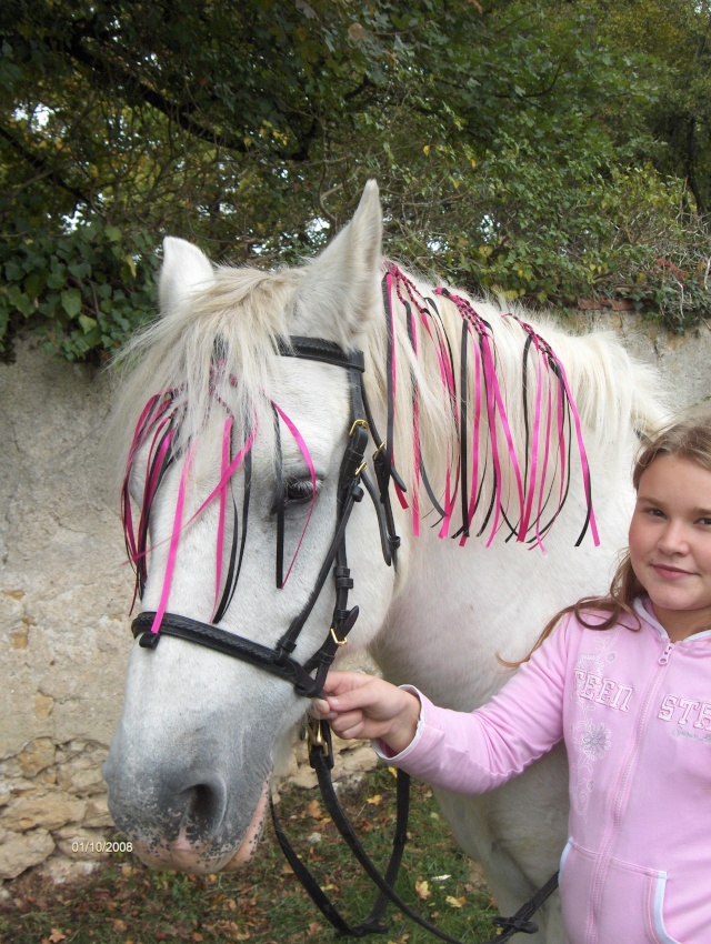 pour financer les sauvetages ou les soins Flocon13