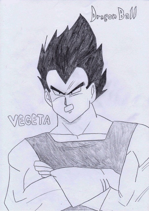 Motta's Gallery - Page 14 Vegeta12