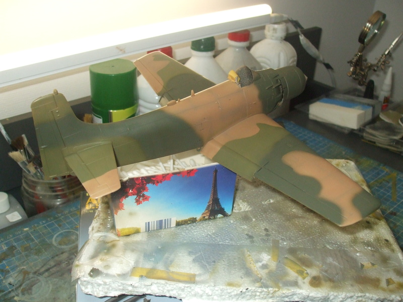 A1-J +A1-H Tamiya 1/48 scale  - Page 3 Camo_330