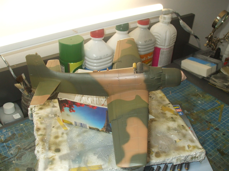 A1-J +A1-H Tamiya 1/48 scale  - Page 3 Camo_343