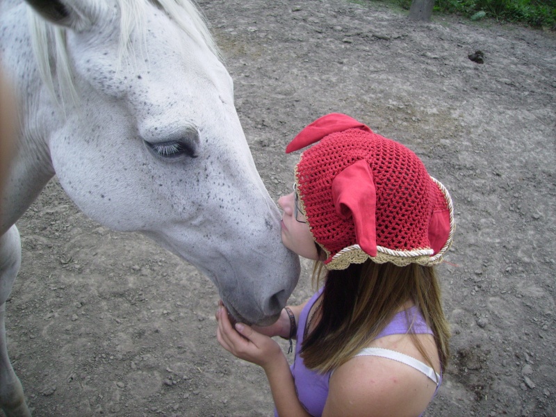 Besoin de photos de vos chevaux Imgp0022