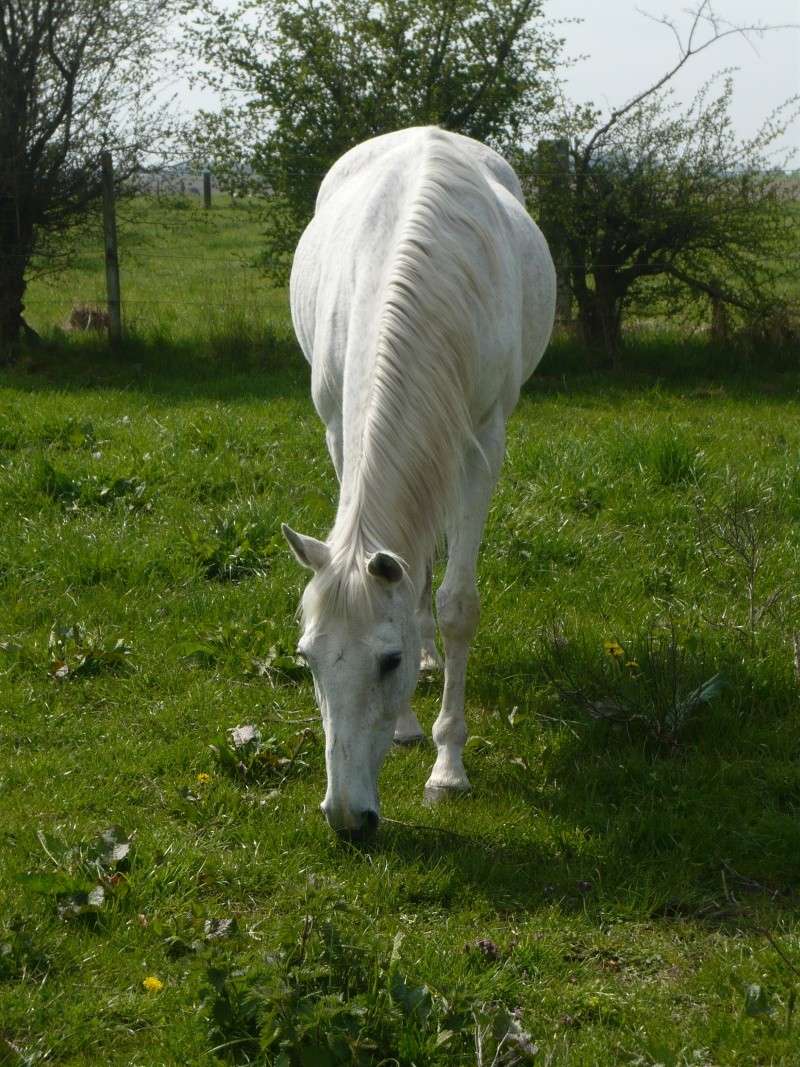 Auprès d'eux, c'est un pays de magie et de bonheur <3 P1010419