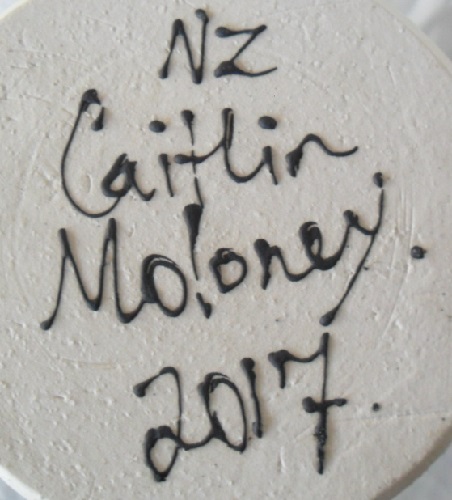 Caitlin Moloney Molone11