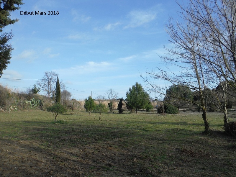 JdB de 4 hectares de pâtures dans le SUD : petit bilan - Page 8 14020p10