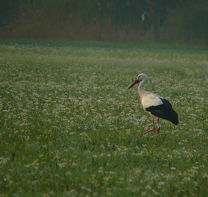 6h30 du mat.... P1070212