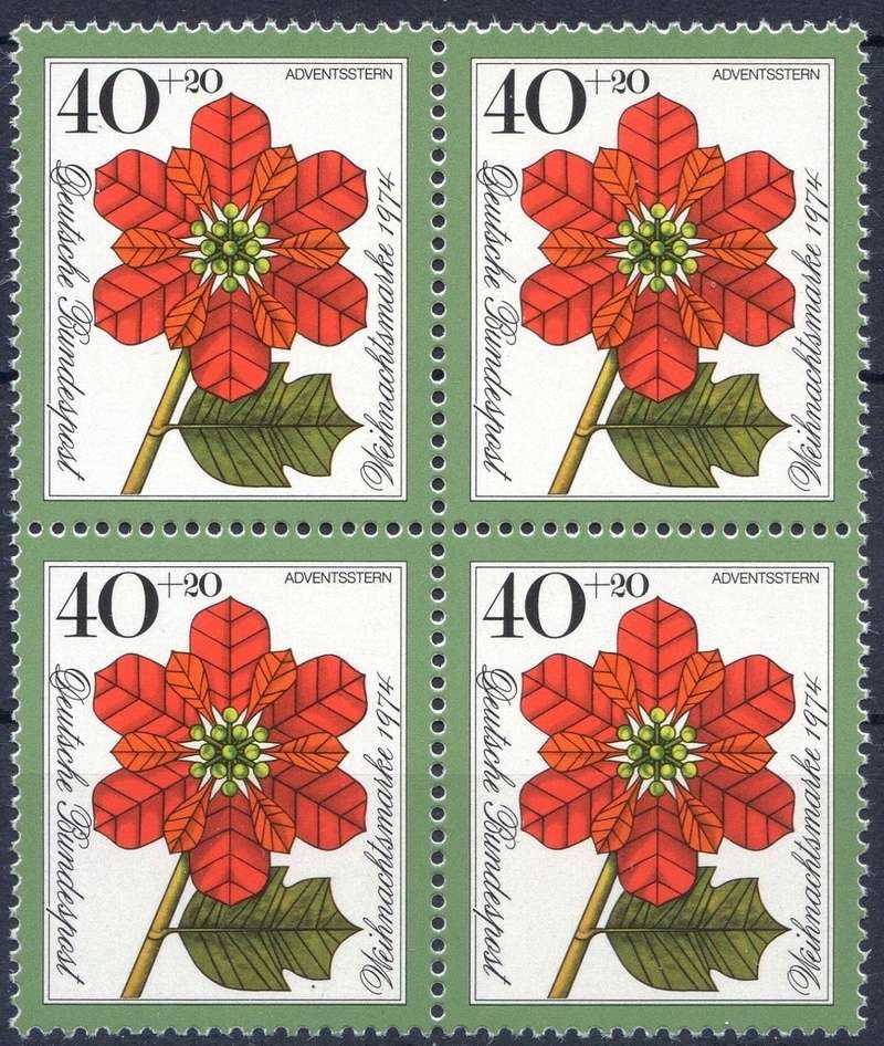 Bilderwettbewerb im November 2017 Advent10