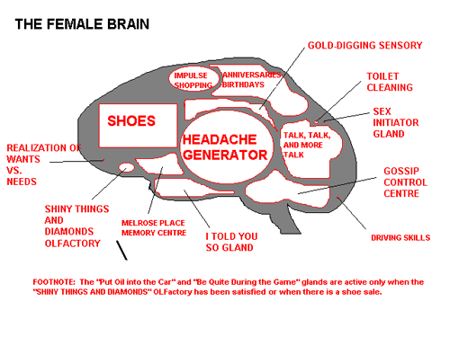 Female & Male Brain.. (Warning 18+) 12538910