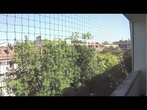Systemes De Protection Pour Vos Chats Systemes De Protection Pour Vos Chats