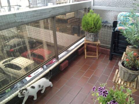 Systemes De Protection Pour Vos Chats