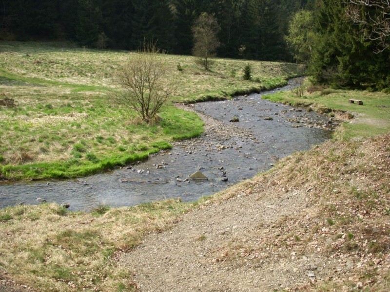 schönes tal zur crawlerwanderung Heller10