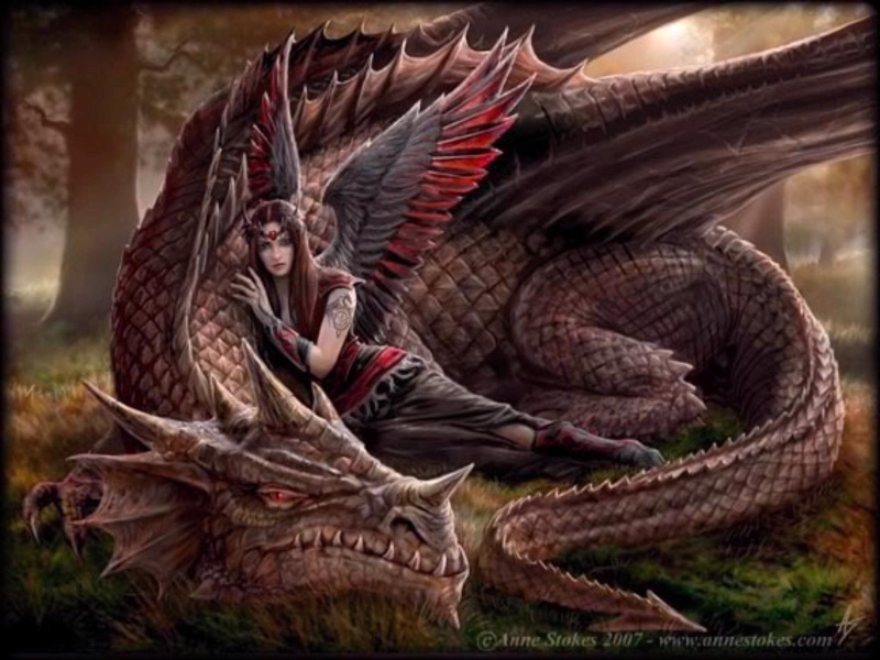 les dragons Ange_e11
