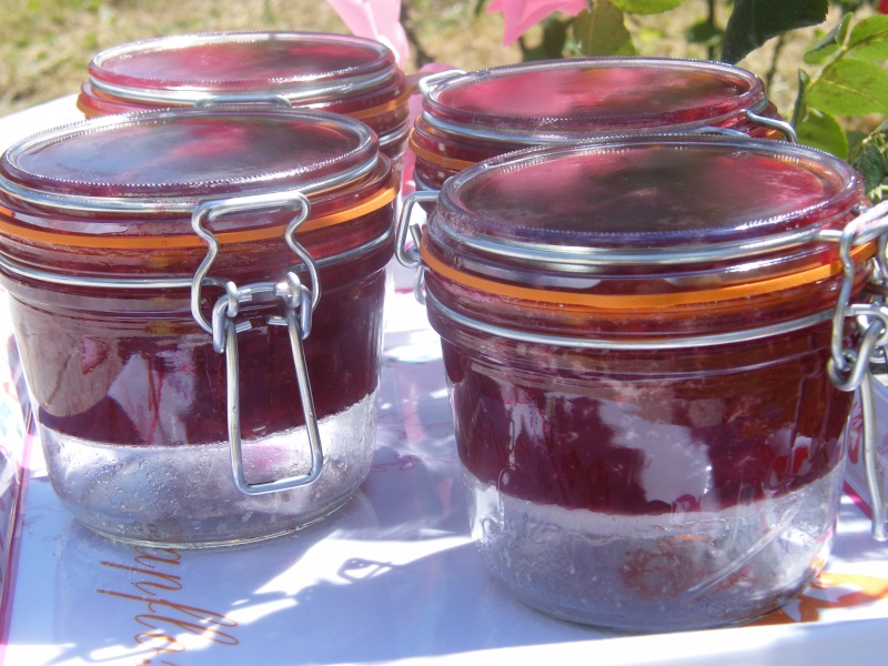 confiture - confiture de cerises + photo (au TM) Dscf3216