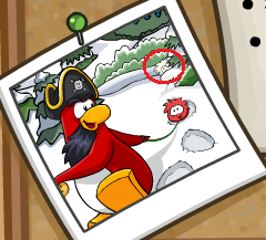 Rockhopper is here (& a mystery) More_w10