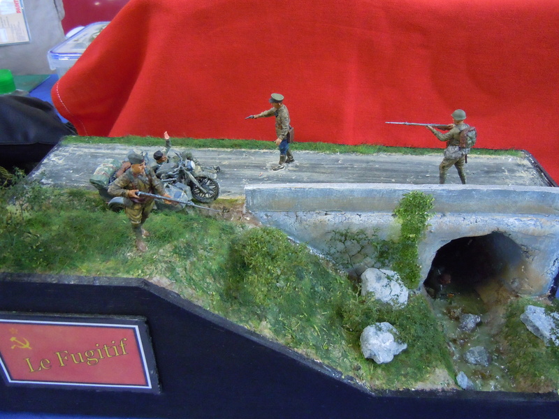 SAUMUR (49 MAINE ET LOIRE) Compte rendu et photos de la 32ème Exposition de juin 2018 ... Dscn7830