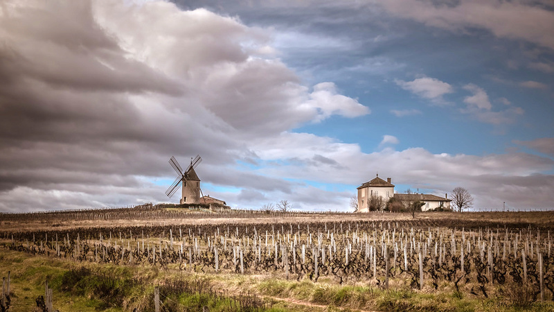 Paysage du Beaujolais 39967510