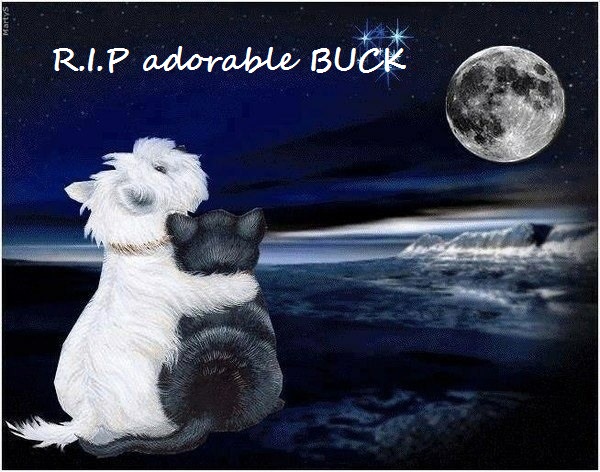 Adieu mon beau Buck Rip_bu10