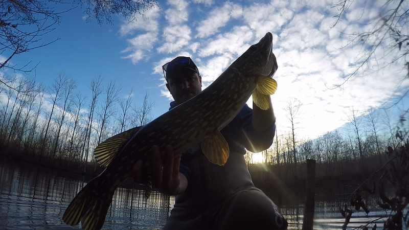 DECEMBRE 2017 Pike10