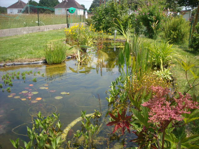 le bassin de rinini Baba_020