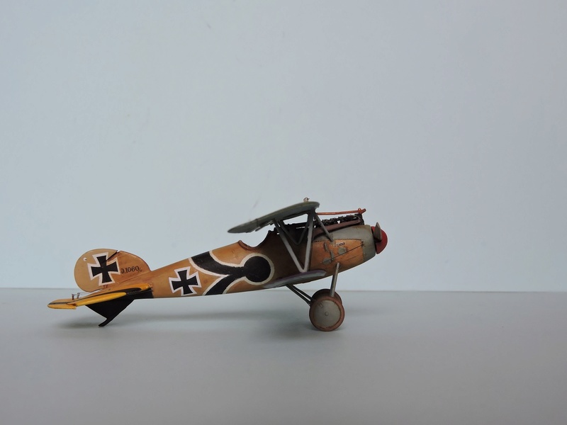 [Roden] Albatros D.V Wasquehal 1917 jasta 28  1/72 (aldv) Albatr36