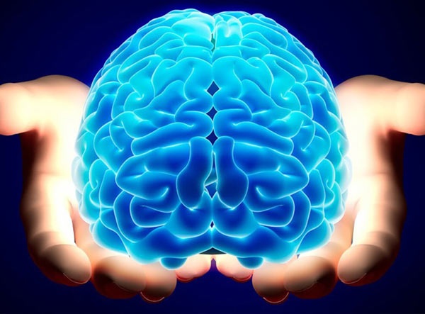 9 معلومات مذهلة عن المخ البشري  Facts-10
