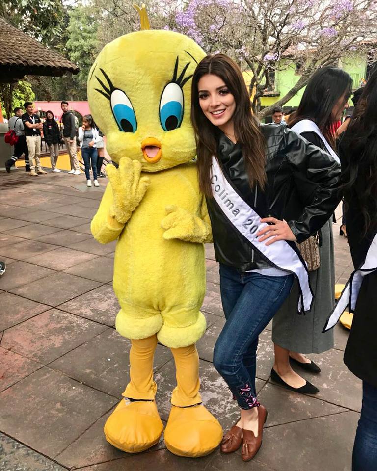 ROAD TO MISS UNIVERSE MEXICO 2018 (MEXICANA UNIVERSAL) - WINNER IS COLIMA - Page 4 30729810