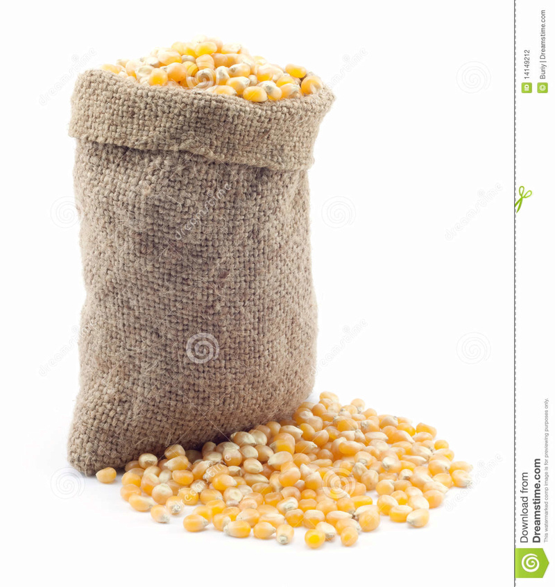 recherche image dindon qui bouffe le sac de maïs  Kleine10