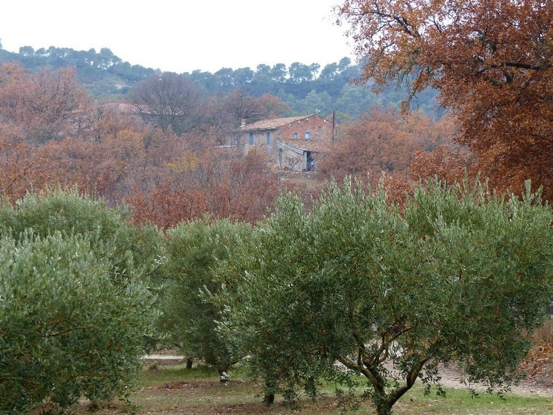 Randonnée plus calme de JM à la Roque-d'Antheron-Jeudi 14 décembre 2017 00317