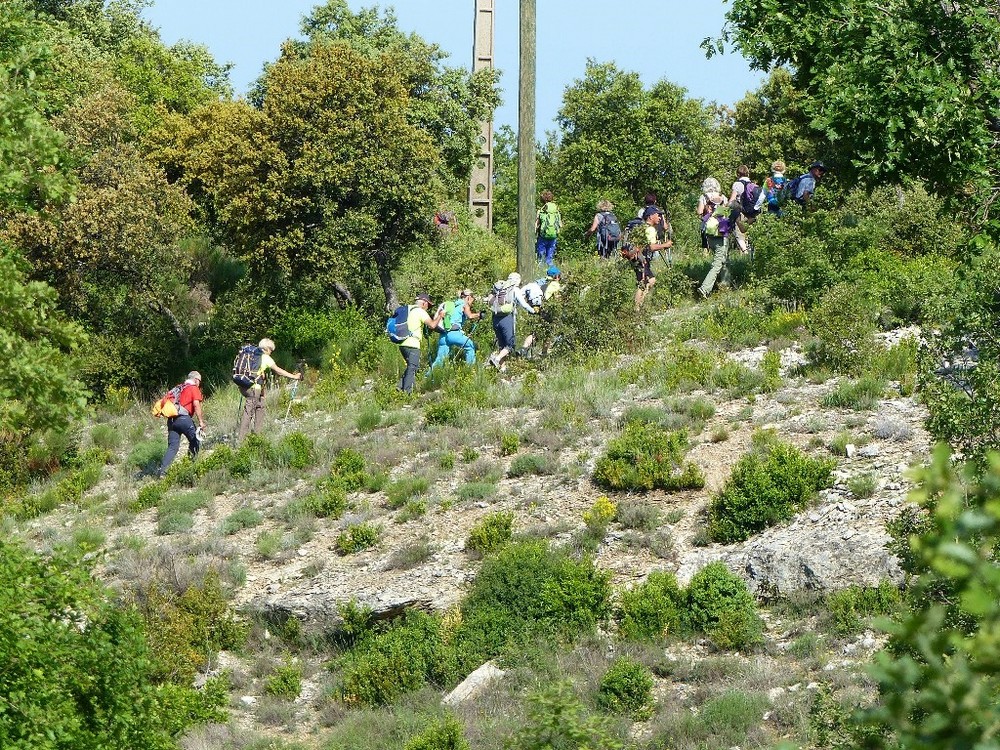 Randonnée plus calme de JM à Auribeau  le jeudi 24 Mai 2018 00531