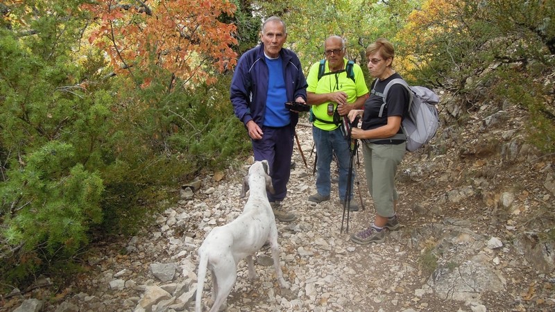 Randonnée plus calme de JM aux Gorges de la Nesque-Jeudi 19 Octobre 2017 00610