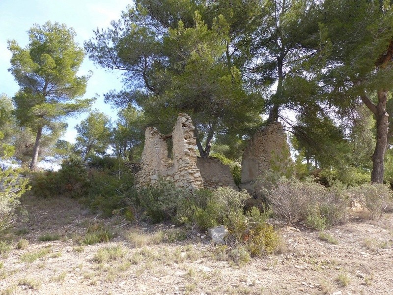 Randonnée plus calme de JM à St Julien-lès-Martigues-Jeudi 08 mars  2018 00625