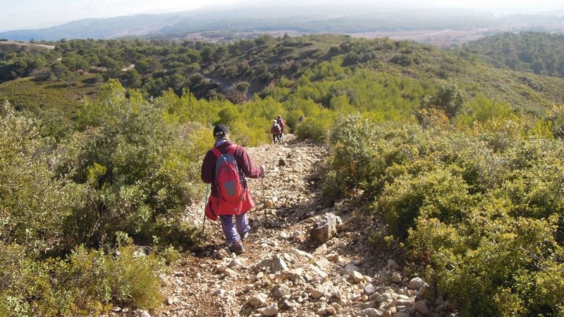 Randonnée plus calme de JM à la Roque-d'Antheron-Jeudi 14 décembre 2017 01317