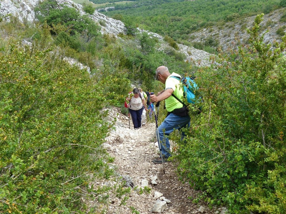 Randonnée plus calme de JM à Auribeau  le jeudi 24 Mai 2018 01730