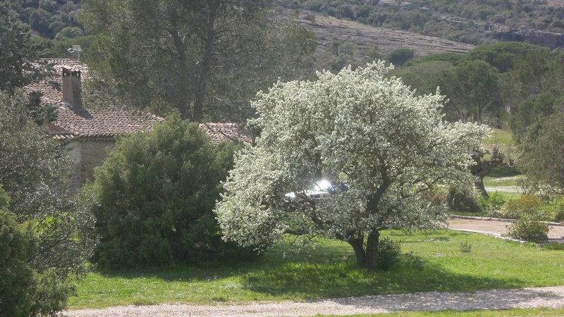 Randonnée plus calme de JM à Roquebrune le jeudi 29 mars  2018 Dscn8811