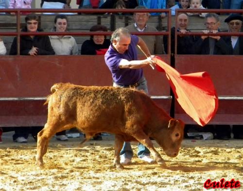 ALFAMEN (ZARAGOZA) SESIÓN DE VAQUILLAS DE HNS.FAURE 1415