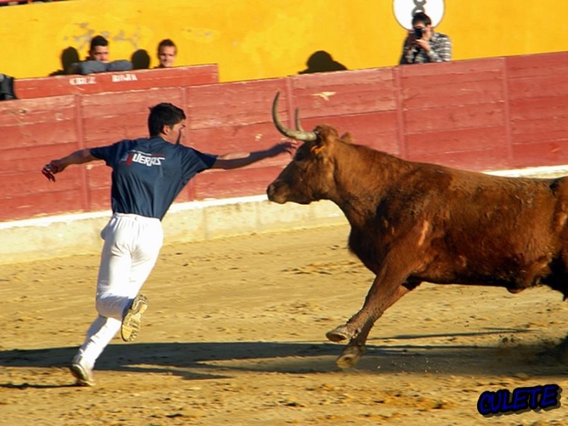 CONCURSO DE ANILLA DE ALAGON 19/3/2011 1516