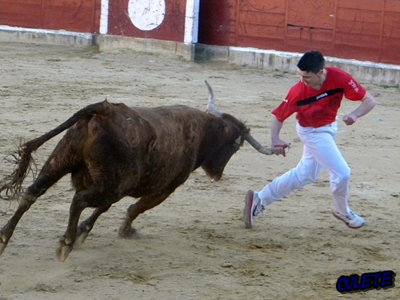 CONCURSO DE ANILLA DE ALAGON 19/3/2011 2413