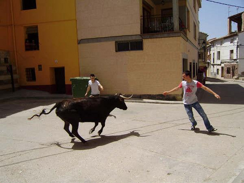 ZONA DE FOTOGRAFIA 35661611