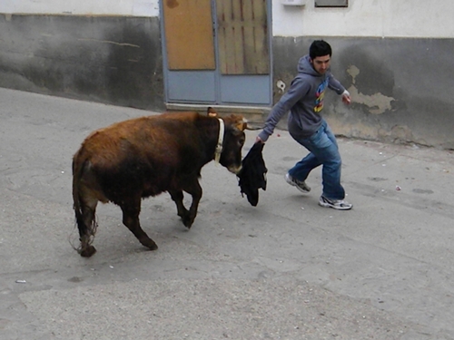 PARACUELLOS DE LA RIBERA (ZARAGOZA) GANADERIA "EL RUISEÑOR" Rscn1413