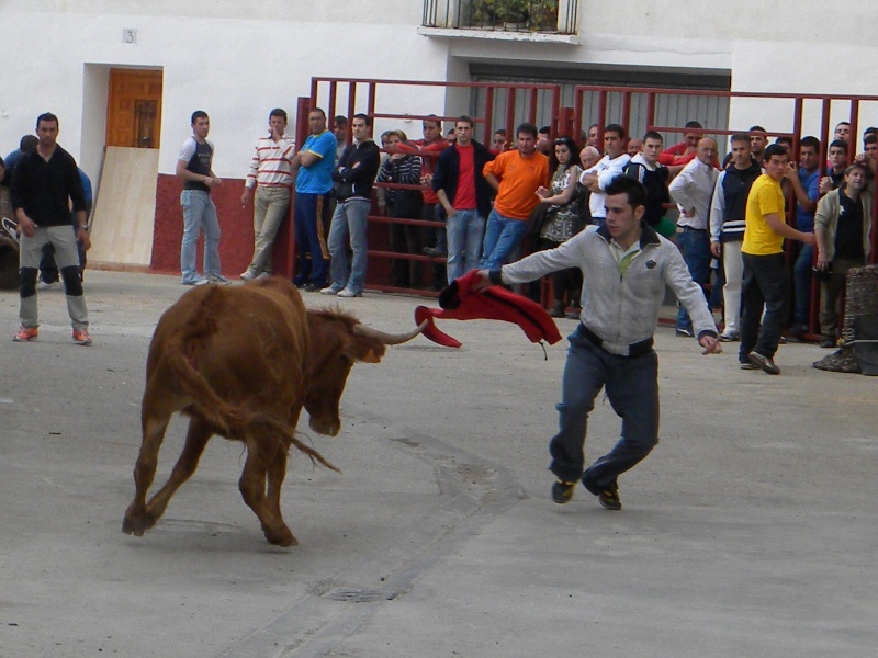 LONGARES (ZARAGOZA) Rscn3011