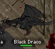 Black Draco