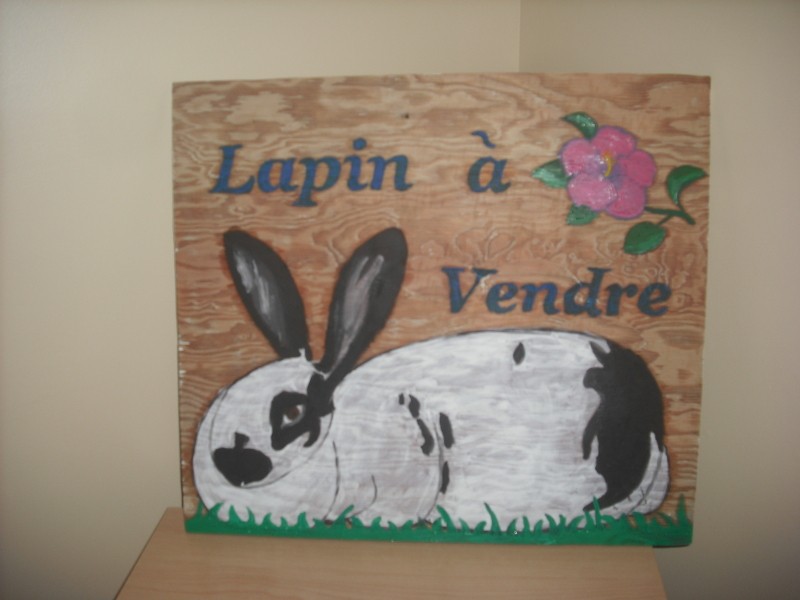 pencarte lapin a vendre Dscf0184