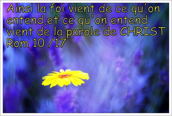 Exhortations journalières - Mais je vous dis, à vous qui m'écoutez: Foi10