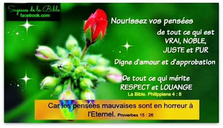 Qu'est-ce que l'homme, pour que tu te souviennes de lui ?  Pensye11