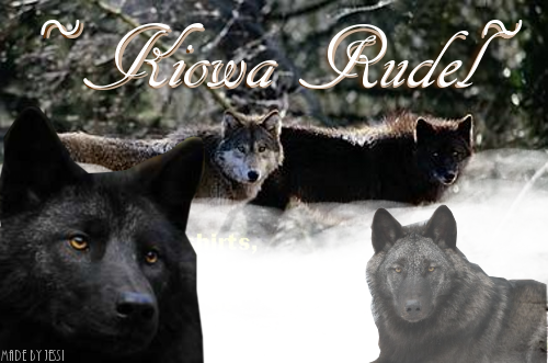 ~Kiowa Rudel~ Timberwölfe *by Jojo* Sigii10
