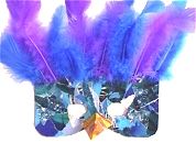 Affiches et banieres portail pour le carnaval Oiseau10