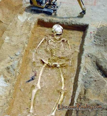 giant remains found in india Bmf5110
