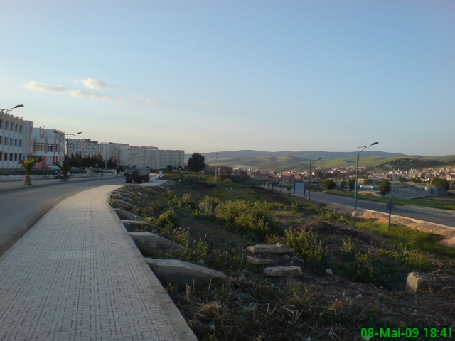 صور خضراء من وادي الزناتي Dsc00813