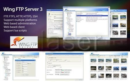 Wing FTP Server v3.4.5 Corporate Edition Multilingual Wing_f10