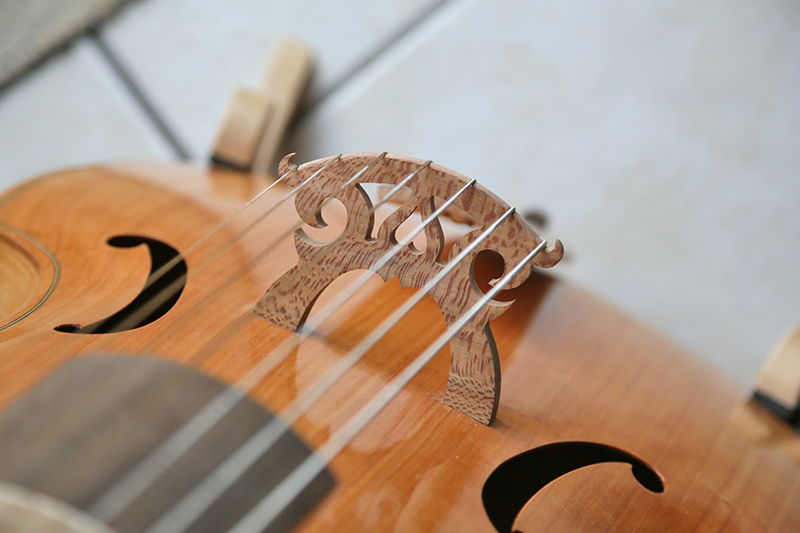 [Lutherie] Viole de gambe à 7 cordes. - Page 17 05_dyc22