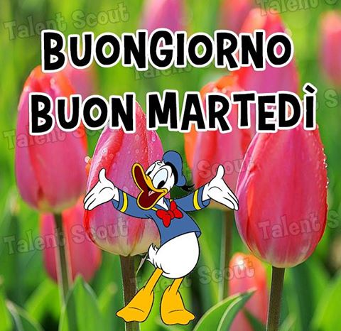 Martedì 16 Gennaio 1marte11